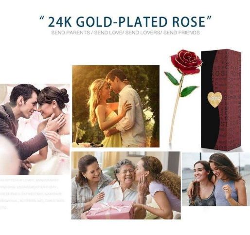 Permanent 24K Gold Long-Stem Rose