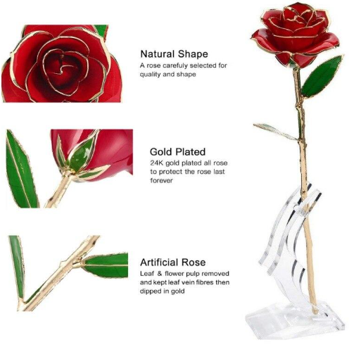 Permanent 24K Gold Long-Stem Rose