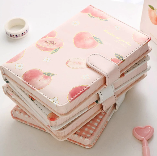 Peach Aesthetic Style Journaling Diary