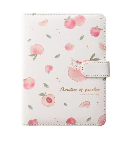 Peach Aesthetic Style Journaling Diary