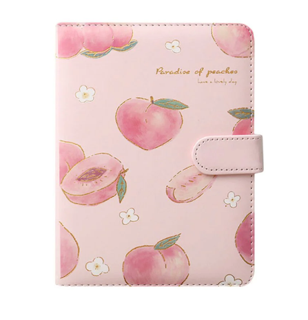 Peach Aesthetic Style Journaling Diary