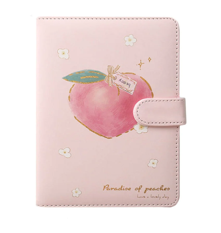 Peach Aesthetic Style Journaling Diary