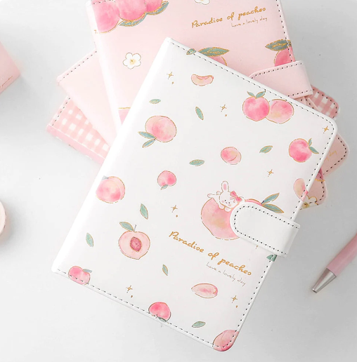 Peach Aesthetic Style Journaling Diary