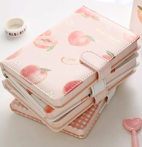 Peach Aesthetic Style Journaling Diary