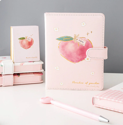 Peach Aesthetic Style Journaling Diary