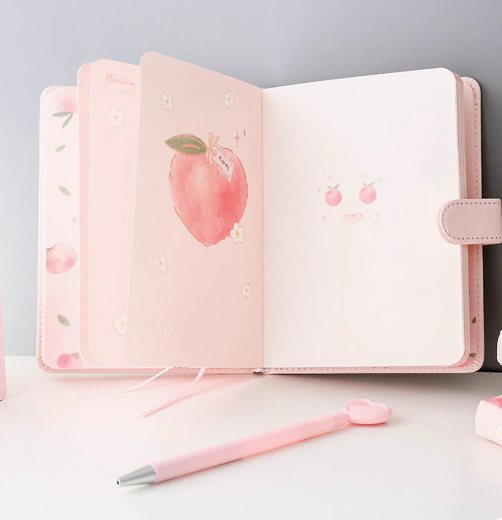 Peach Aesthetic Style Journaling Diary