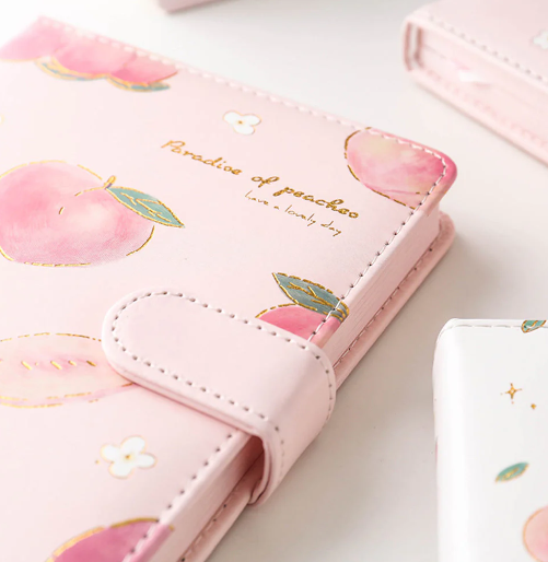 Peach Aesthetic Style Journaling Diary