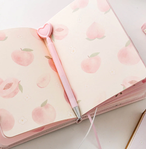 Peach Aesthetic Style Journaling Diary