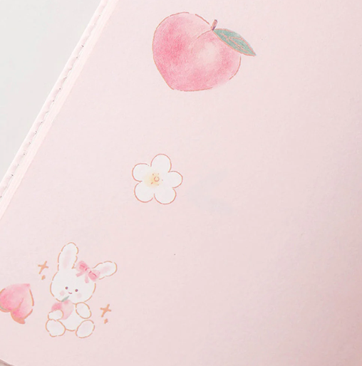 Peach Aesthetic Style Journaling Diary