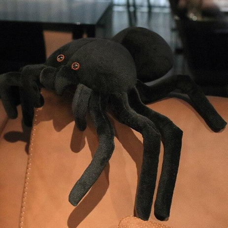 Kawaii Terry The Tarantula Stuffed Animal Plushie