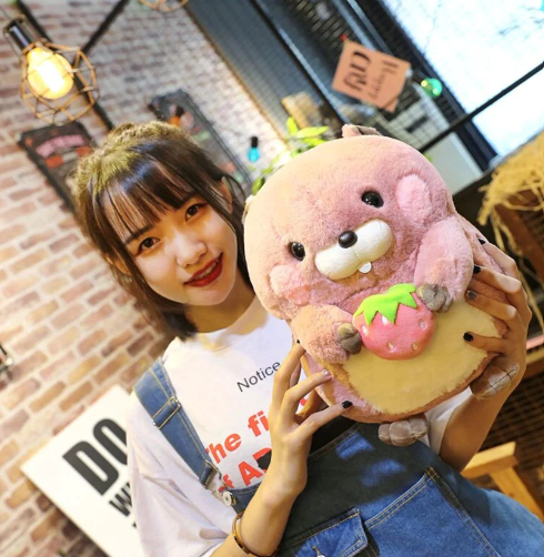 Kawaii Snacking Beaver Plushies