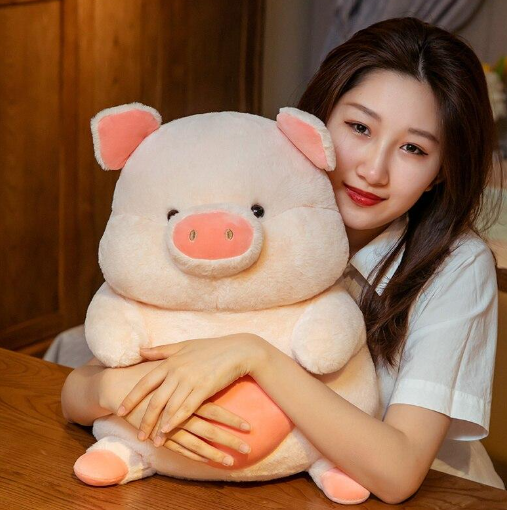 Kawaii Cherie The Love Heart Piggy Plushies